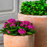 Photo of Campania Abrielle Planter - Terra Nova - Set of 2 - Marquis Gardens